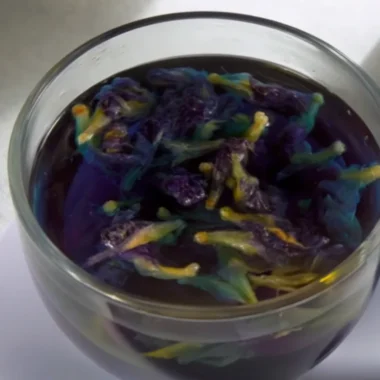 A glass of butterfly pea flower tea with vibrant blue and purple dried flowers floating on top.